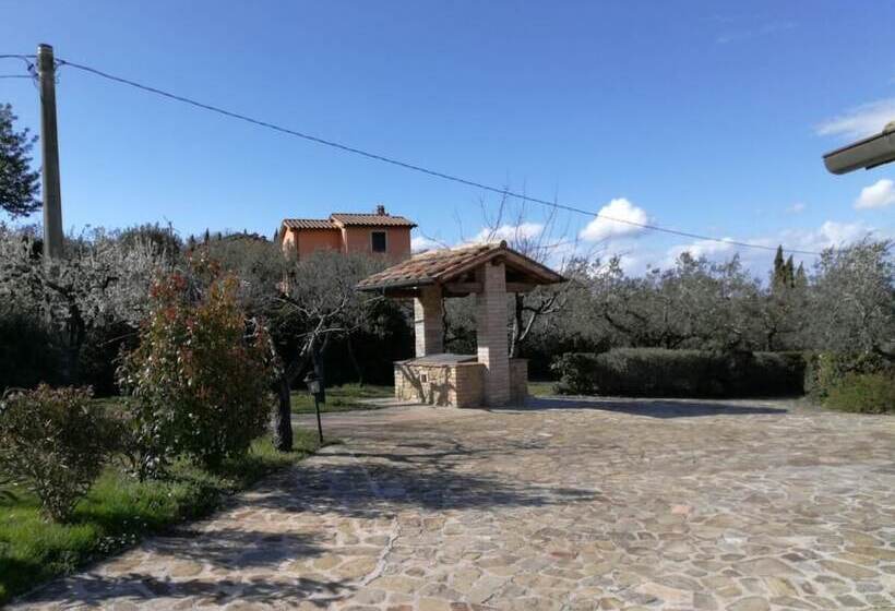 La Macina Di Bettona