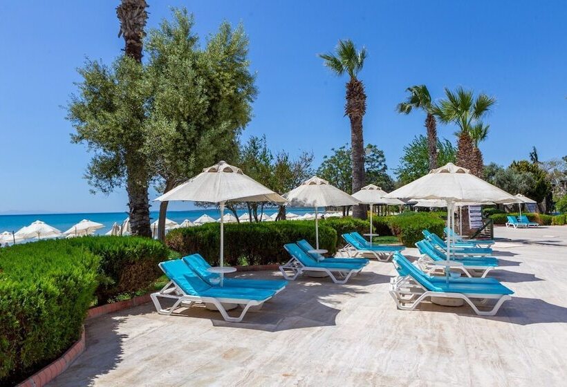 The Holiday Resort Hotel   All Inclusive