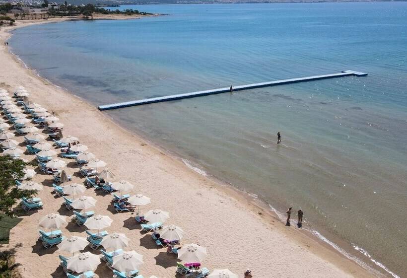 The Holiday Resort Hotel   All Inclusive