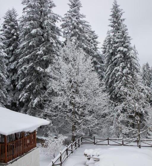 Victoria Hotel Borovets   Free Parking