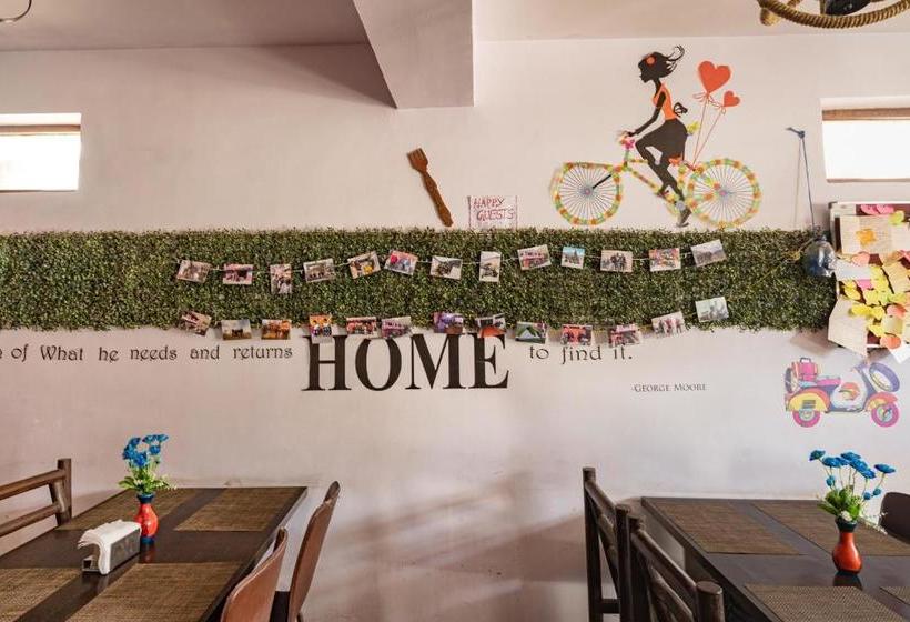 ユースホステル The Travellers Shed