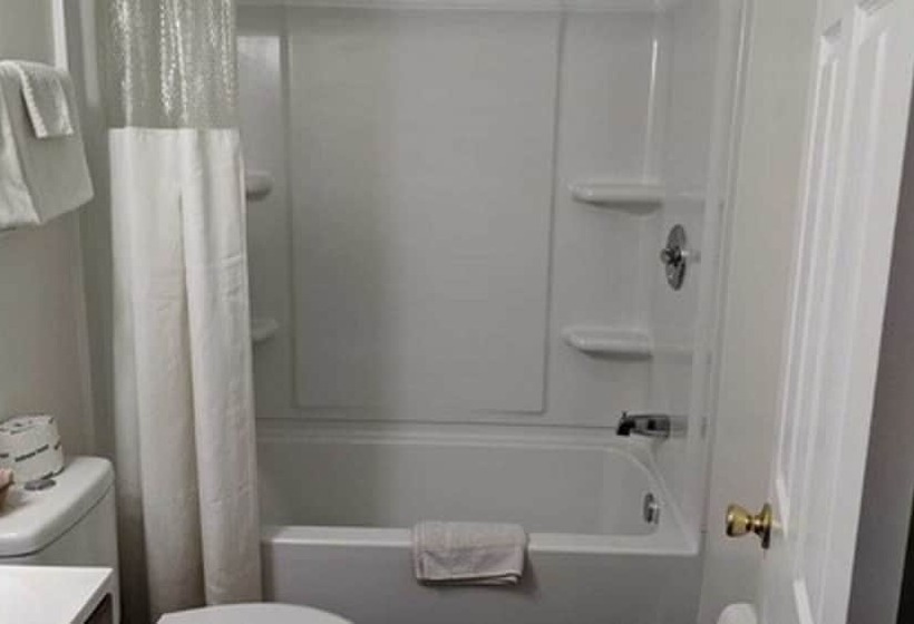 ホテル Economy Inn Sylva