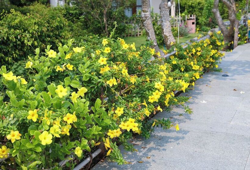 هتل Hoan My Resort Ninh Chu