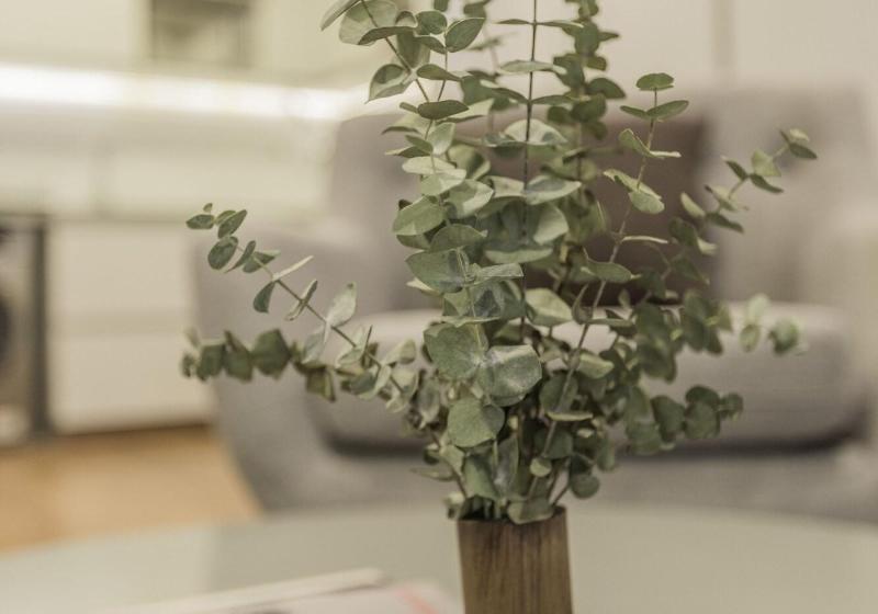 Las Mimosas By Wynwood House