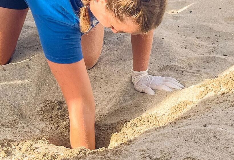 Отель Aquila Rithymna Beach