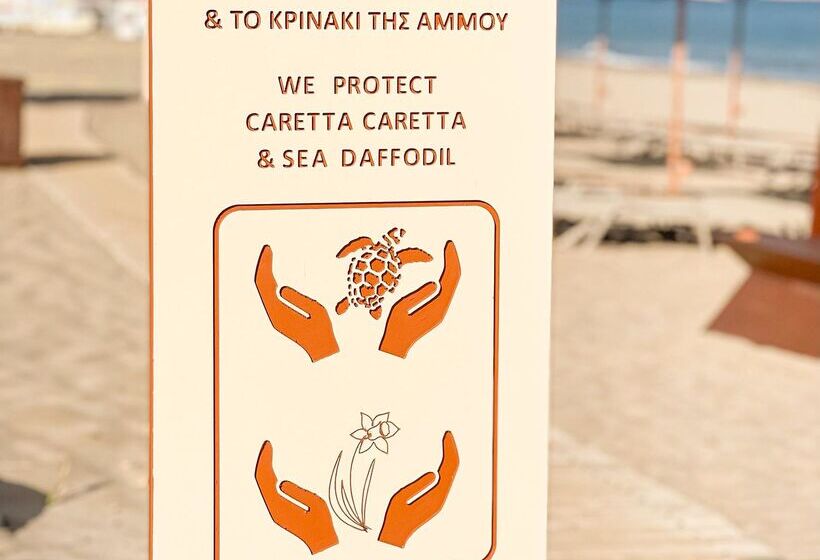 Отель Aquila Rithymna Beach