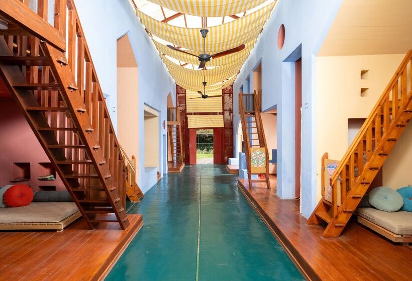 Отель Aquila Rithymna Beach