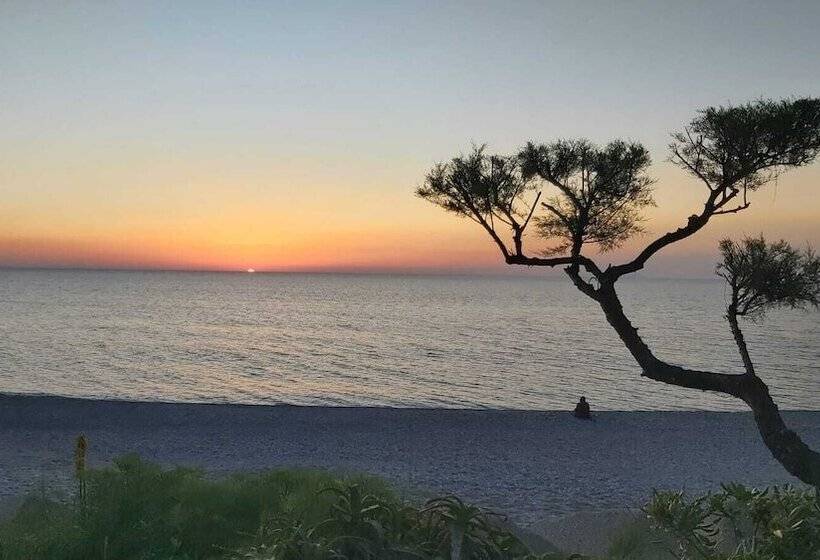 ホテル Capo Nettuno