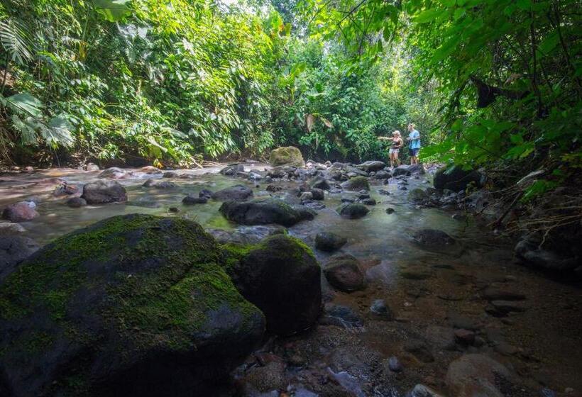 Casa Luna Hotel & Spa