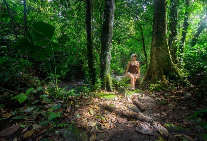 Casa Luna Hotel & Spa