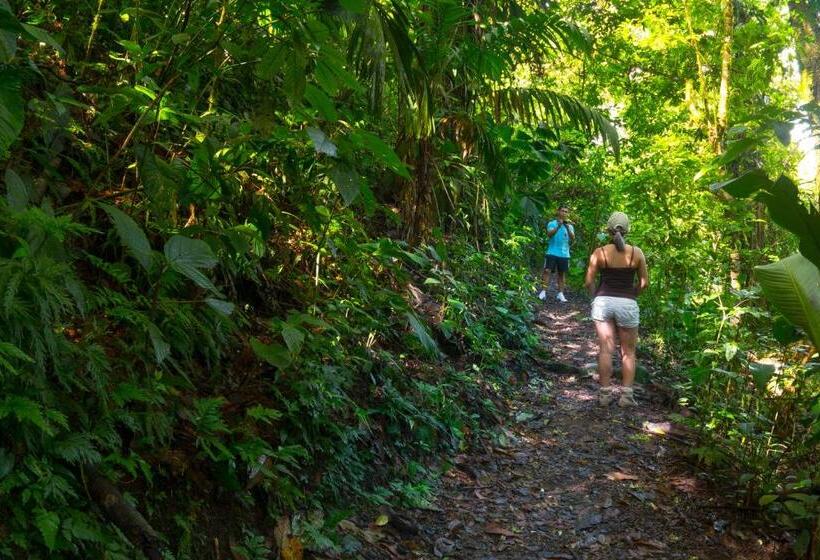 Casa Luna Hotel & Spa