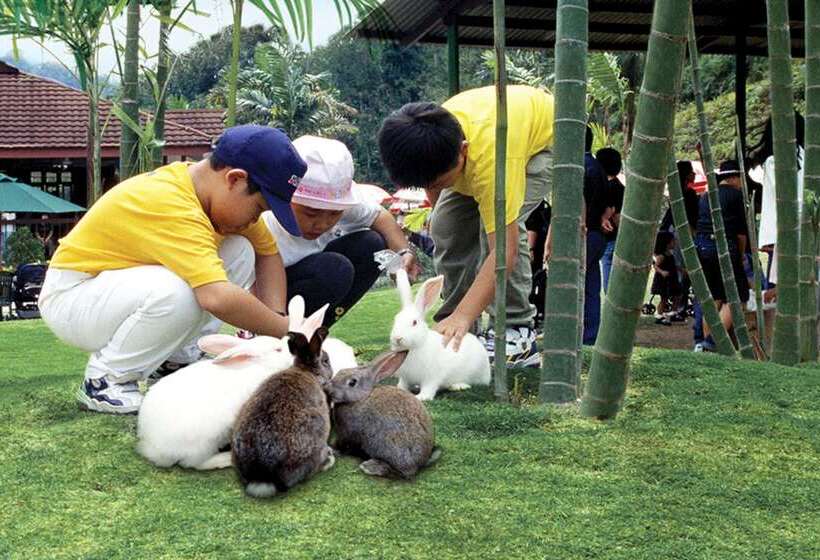 בית מלון כפרי Colmar Tropicale
