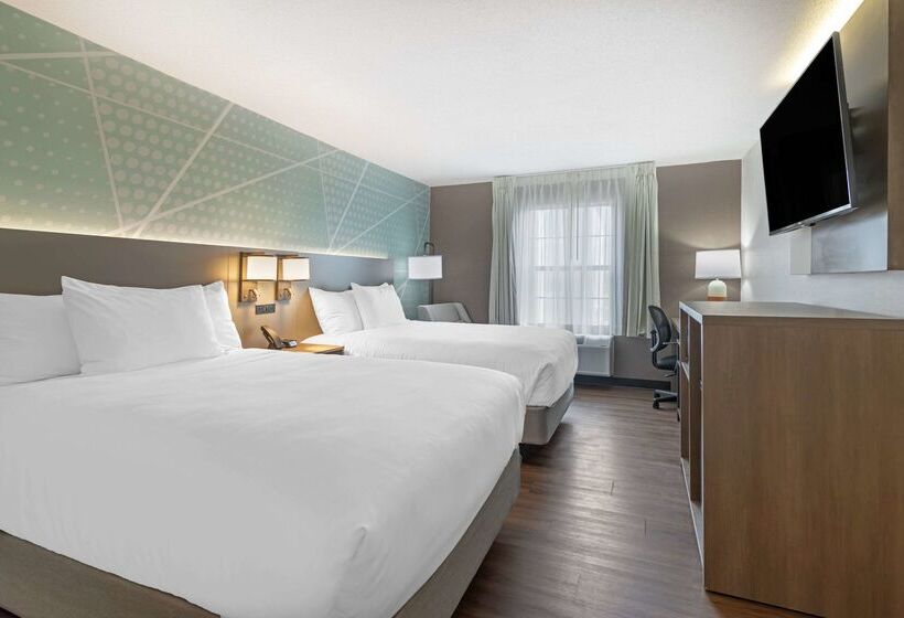 酒店 Comfort Inn Airport