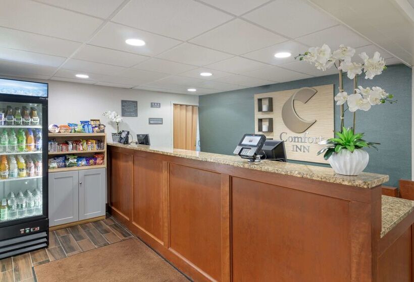 호텔 Comfort Inn Airport