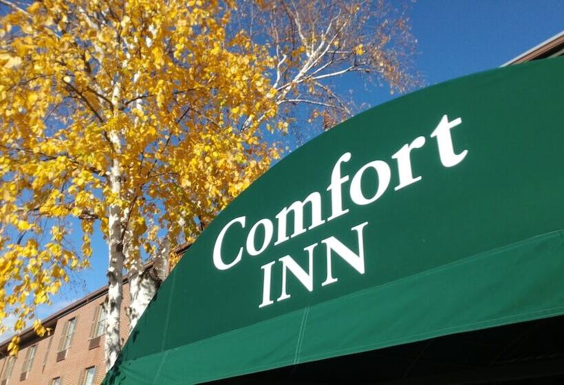 酒店 Comfort Inn Airport