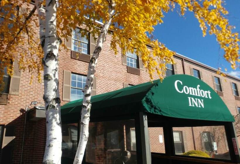 酒店 Comfort Inn Airport