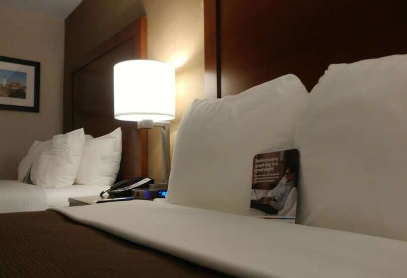 酒店 Comfort Inn Airport