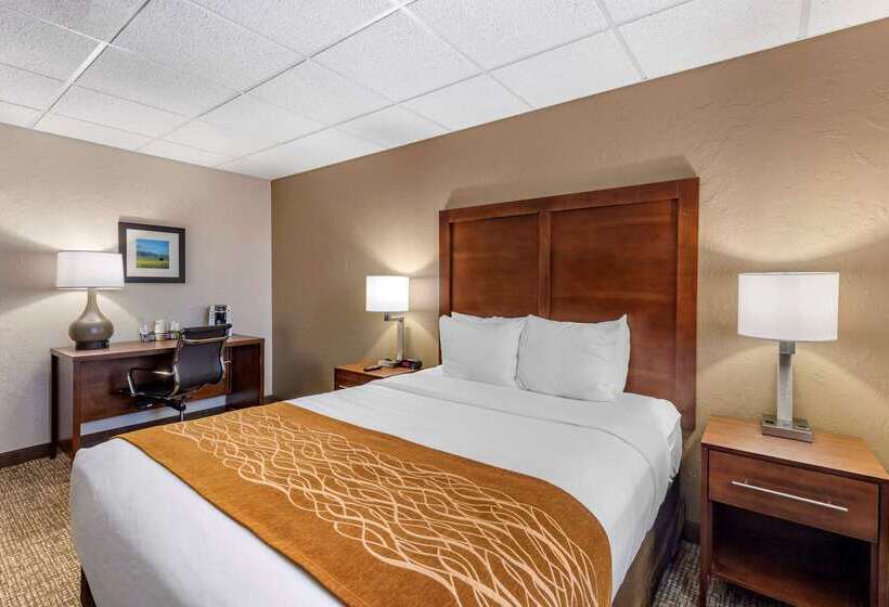 בית מלון כפרי Comfort Inn Butte City Center I 15   I 90