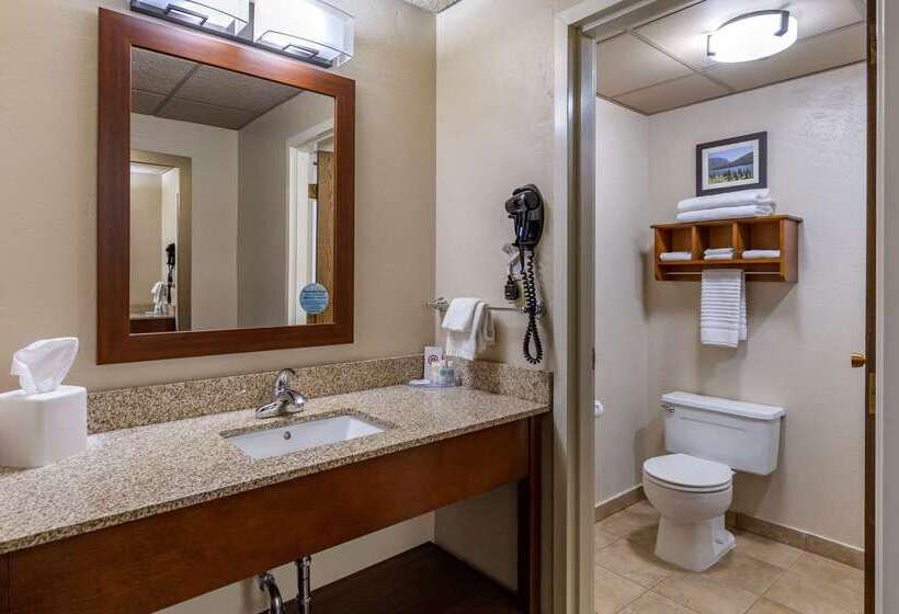 בית מלון כפרי Comfort Inn Butte City Center I 15   I 90