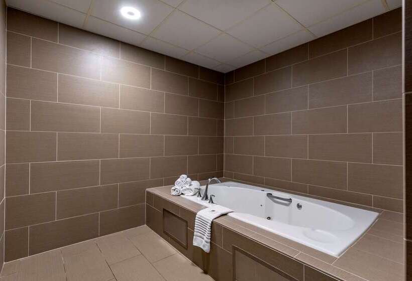 בית מלון כפרי Comfort Inn Butte City Center I 15   I 90