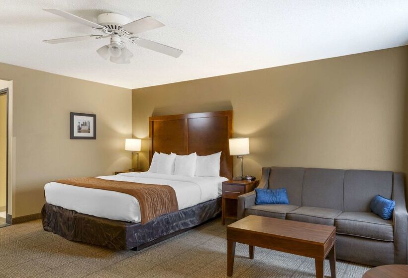 ホテル Comfort Inn North Polaris