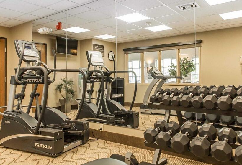 ホテル Comfort Inn North Polaris