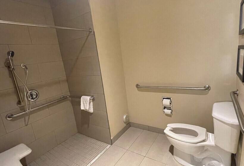 ホテル Comfort Inn North Polaris