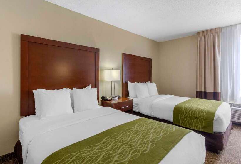 فندق Comfort Inn St Petersburg North