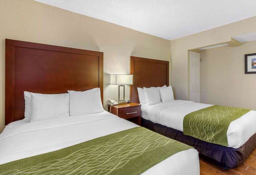 فندق Comfort Inn St Petersburg North
