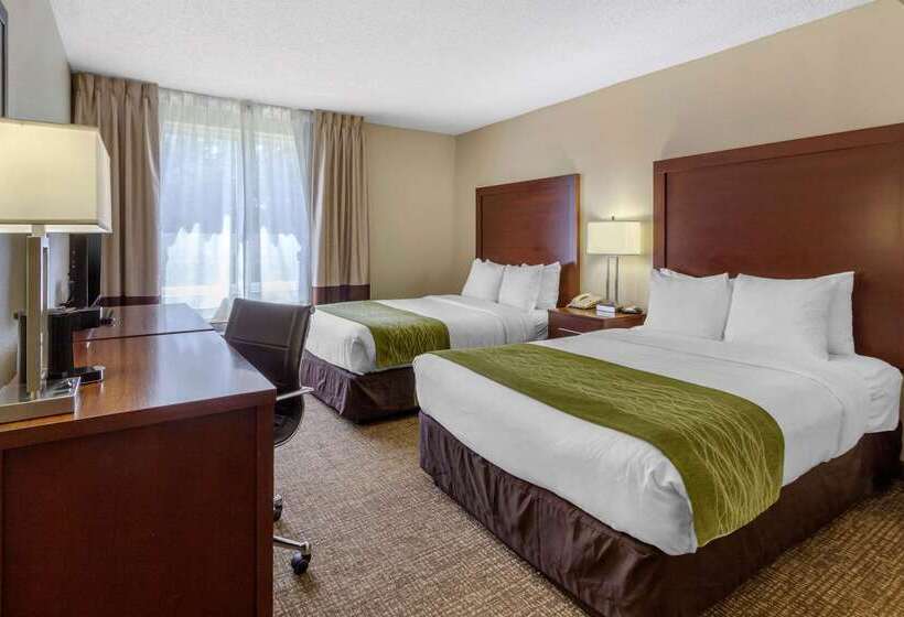 فندق Comfort Inn St Petersburg North