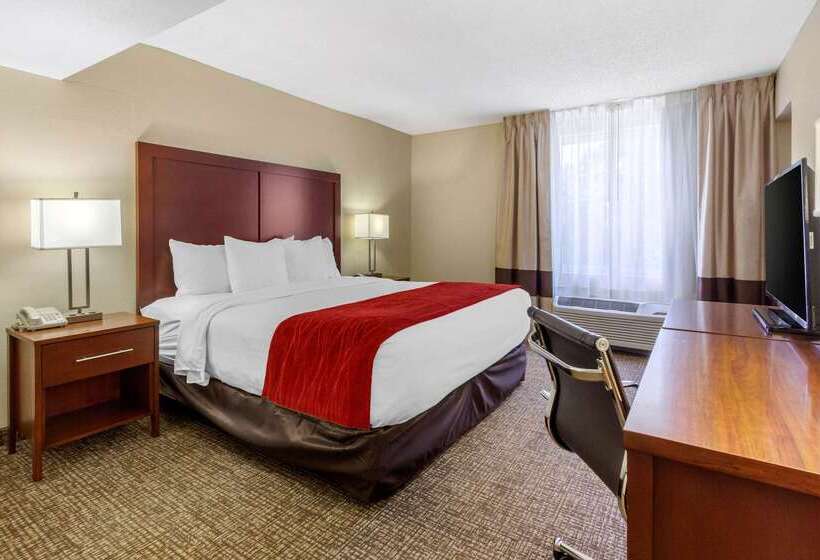 فندق Comfort Inn St Petersburg North