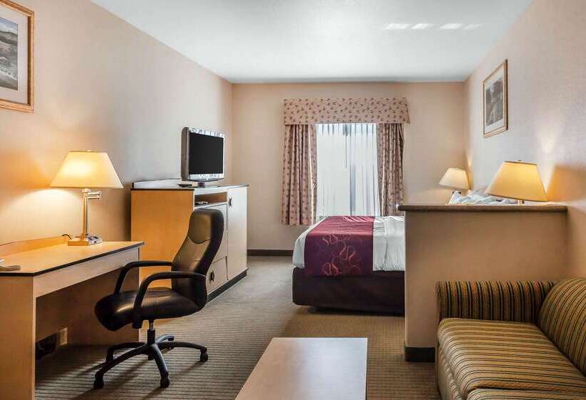 Отель Comfort Inn & Suites Airport Convention Center