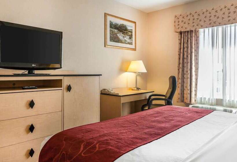 Отель Comfort Inn & Suites Airport Convention Center