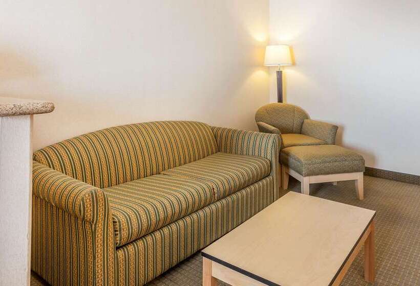 Отель Comfort Inn & Suites Airport Convention Center