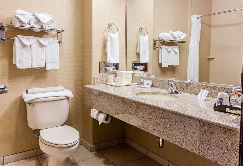 Отель Comfort Inn & Suites Airport Convention Center