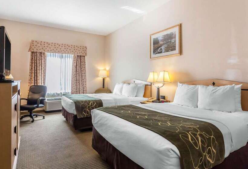 Отель Comfort Inn & Suites Airport Convention Center