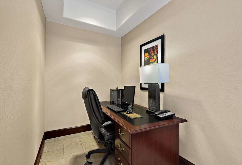 Отель Comfort Inn & Suites Airport Convention Center