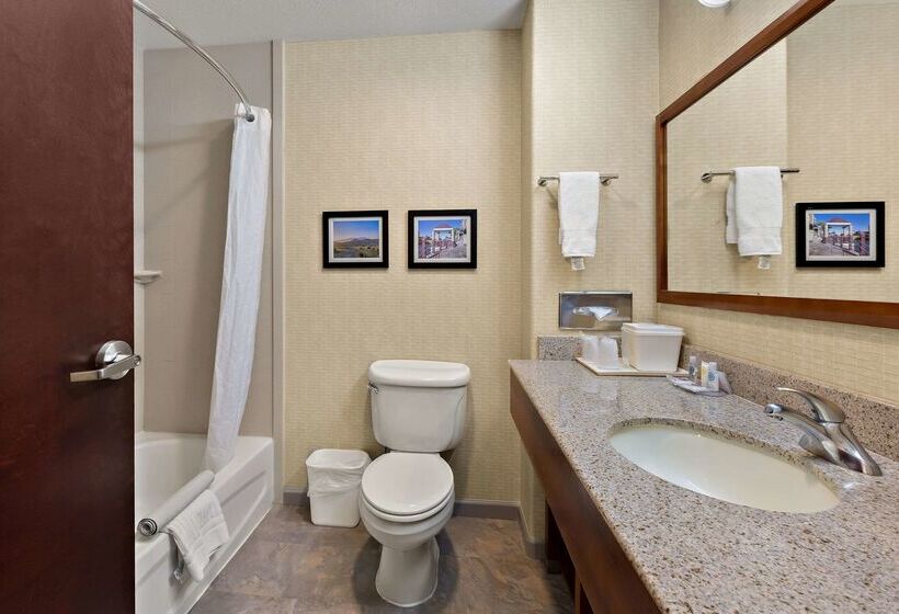 Отель Comfort Inn & Suites Airport Convention Center