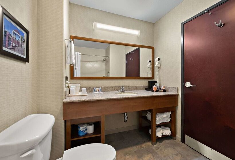 Отель Comfort Inn & Suites Airport Convention Center