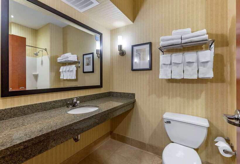 فندق Comfort Inn & Suites Gateway To Glacier National Park