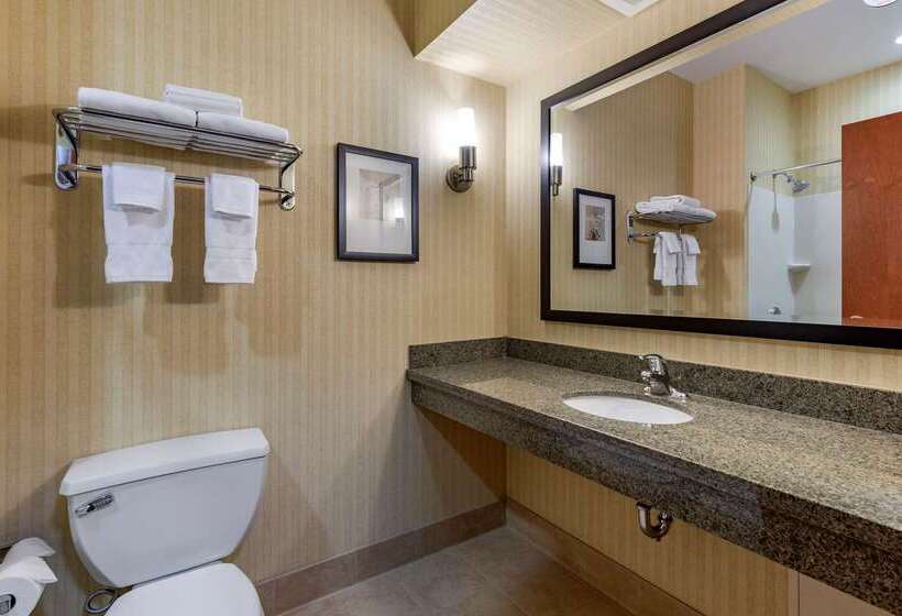 فندق Comfort Inn & Suites Gateway To Glacier National Park