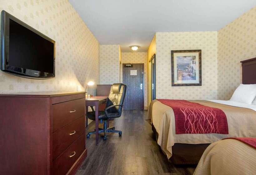 فندق Comfort Inn & Suites