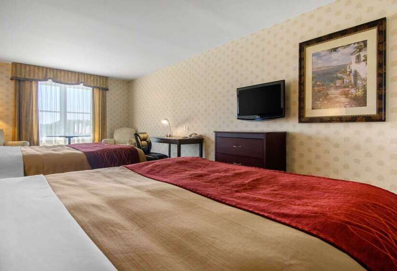 فندق Comfort Inn & Suites