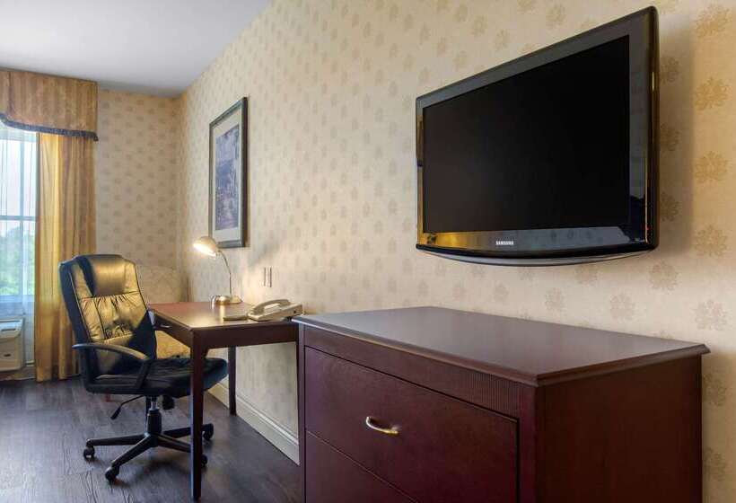 فندق Comfort Inn & Suites