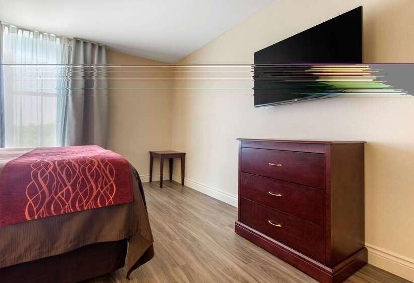 فندق Comfort Inn & Suites