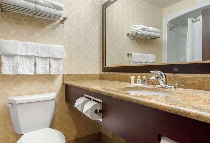 فندق Comfort Inn & Suites