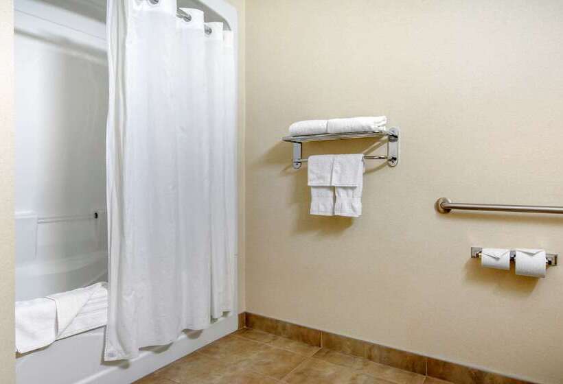 فندق Comfort Inn & Suites