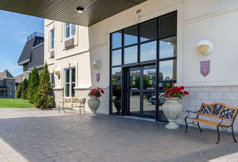 فندق Comfort Inn & Suites