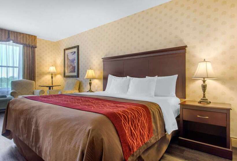 فندق Comfort Inn & Suites