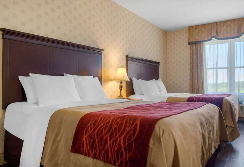 فندق Comfort Inn & Suites